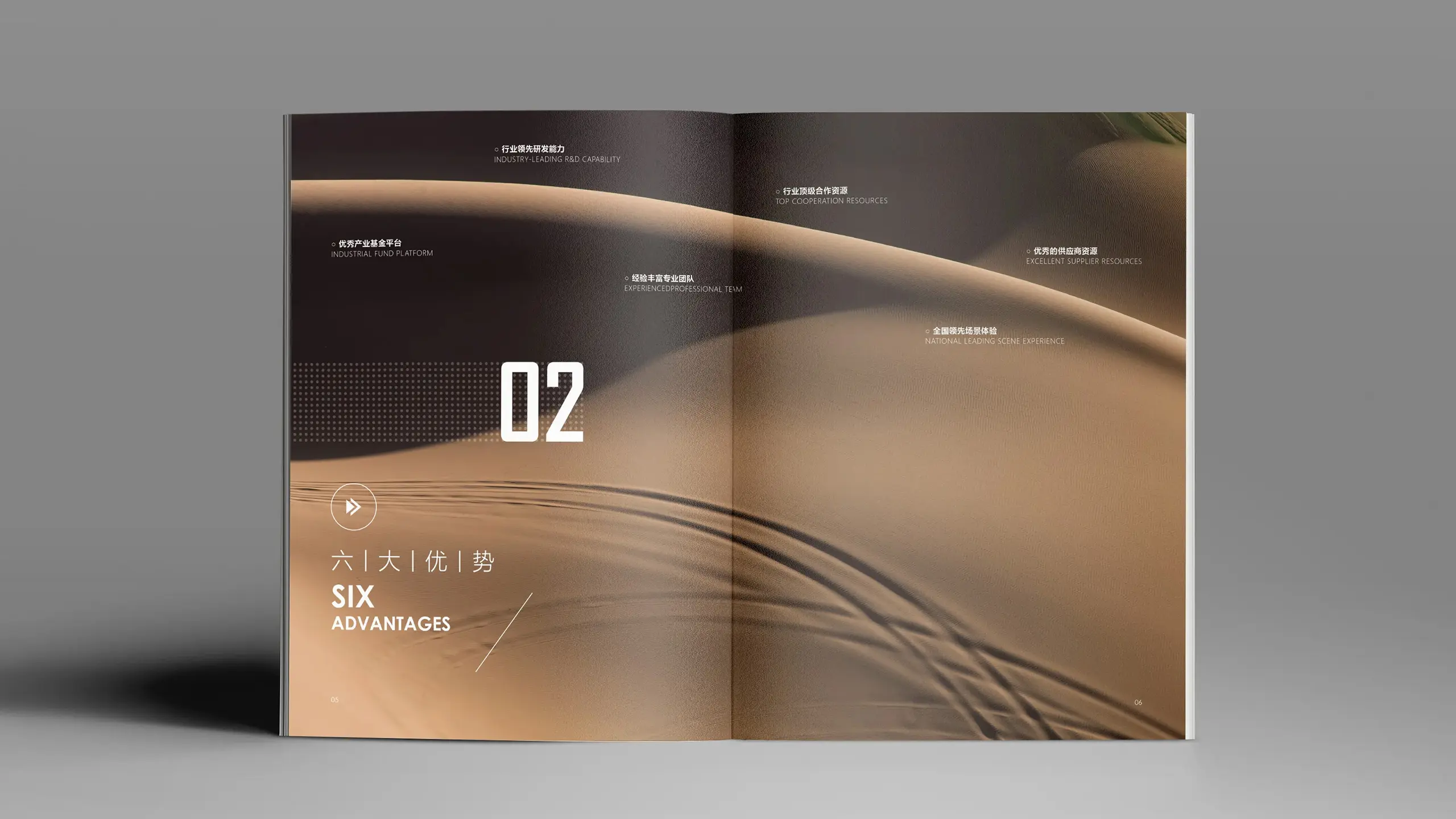 连云港企业画册设计